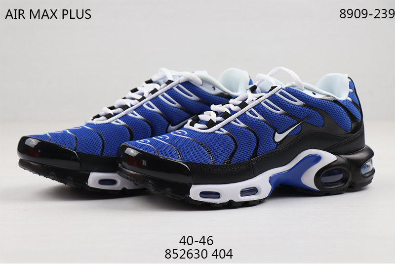 2020 Nike Air Max TN Plus Blue Black White Shoes